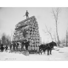 Logging A Big Load Wall Mural