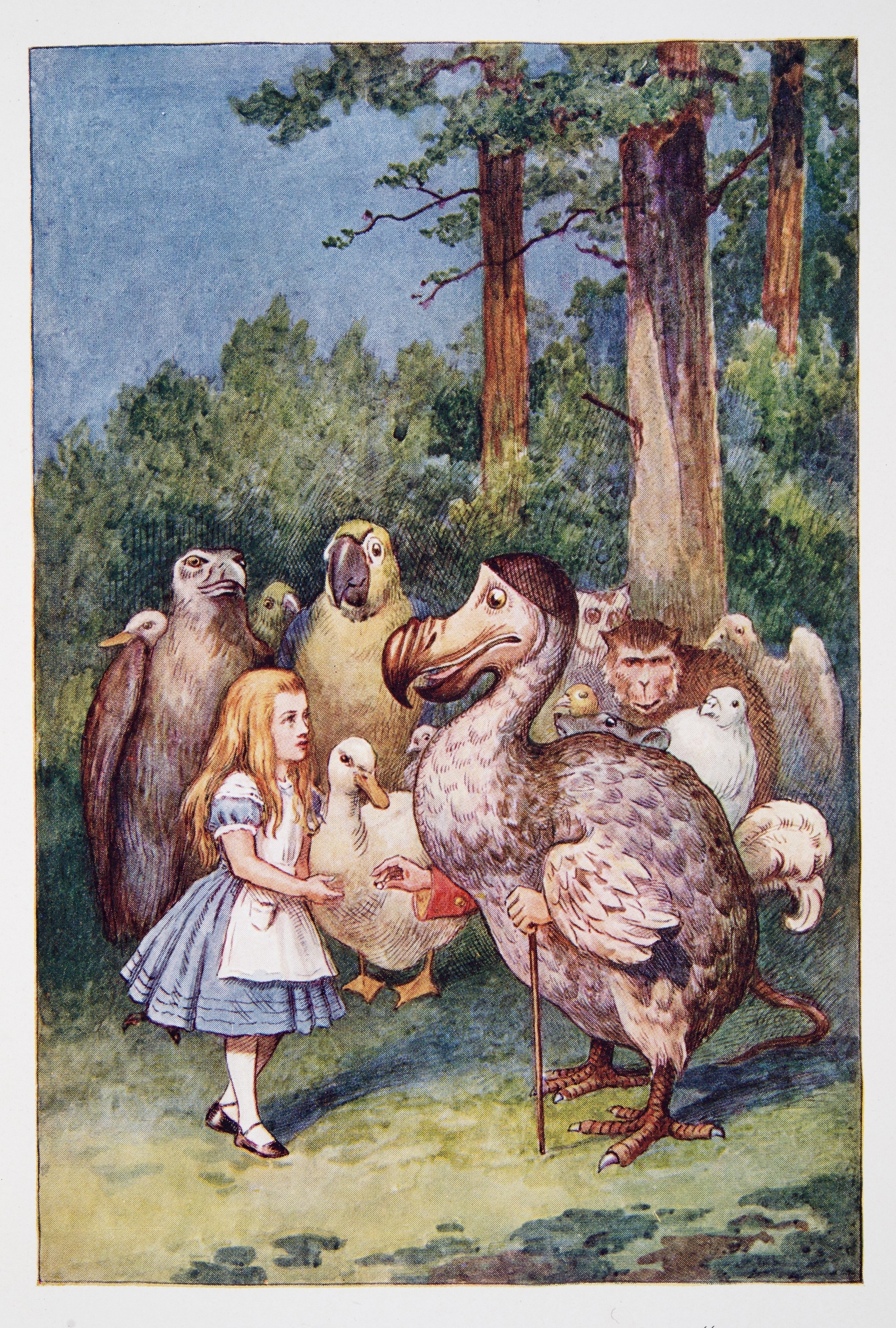Alice in Wonderland with the Dodo colo Framed Tile