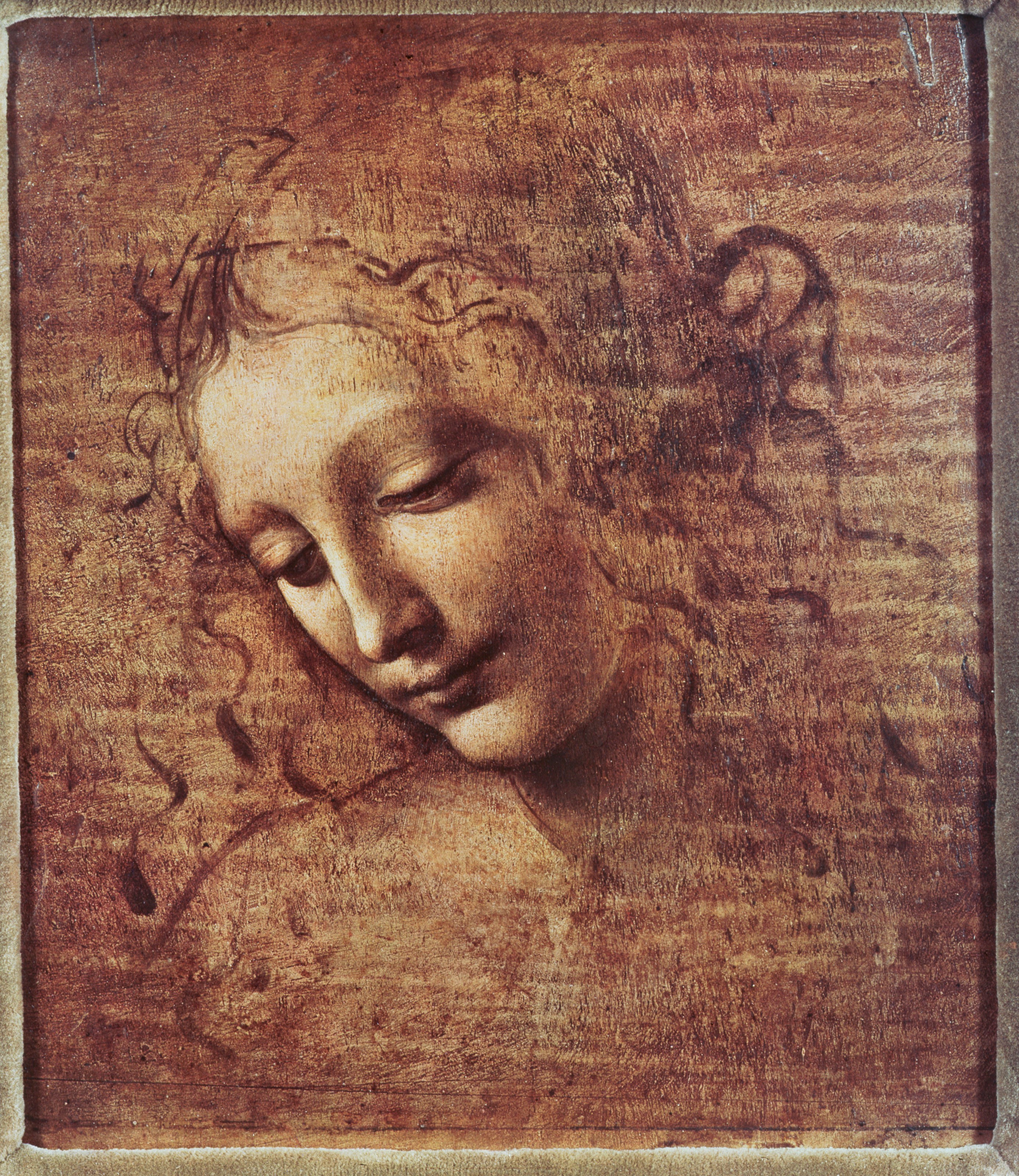 Head Of A Young Woman Mural Wallpaper By Leonardo da Vinci - Murals Your Way