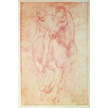 Study Of A Horse And Rider Wall Mural
