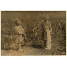Nellie and Millie Picking Cotton Wall Mural