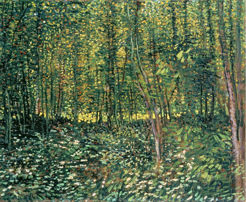 Trees-and-Undergrowth-Mural-Wallpaper