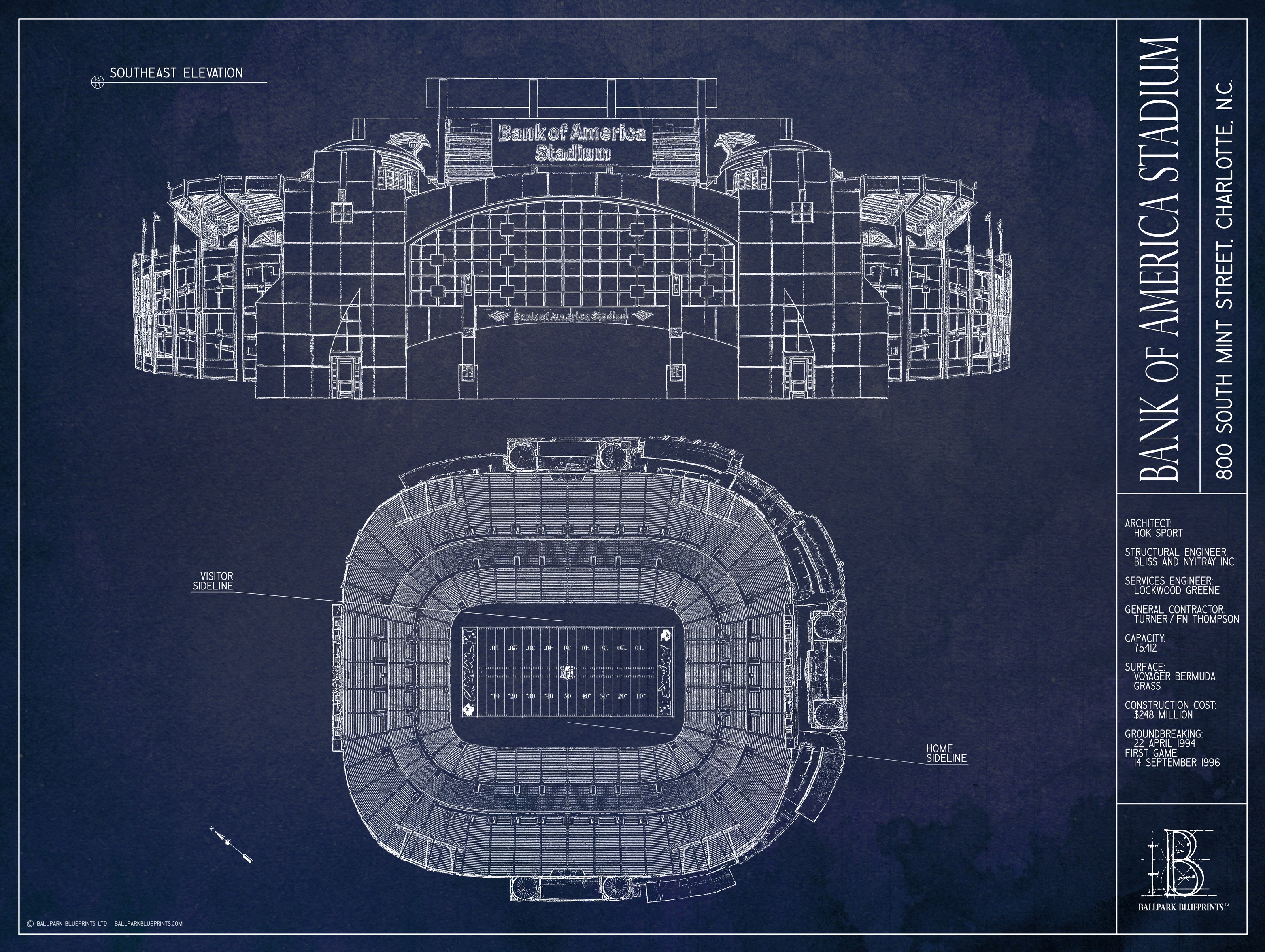 NFL Carolina Panthers StadiumViews Wall Art- Bank of America