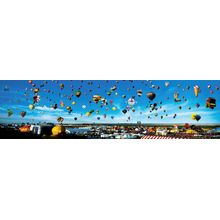 Albuquerque Balloon Fiesta Wall Mural