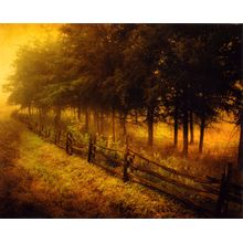 Dream A Little Dream Wall Mural