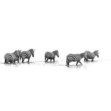 Migration of the Zebras Wall Mural