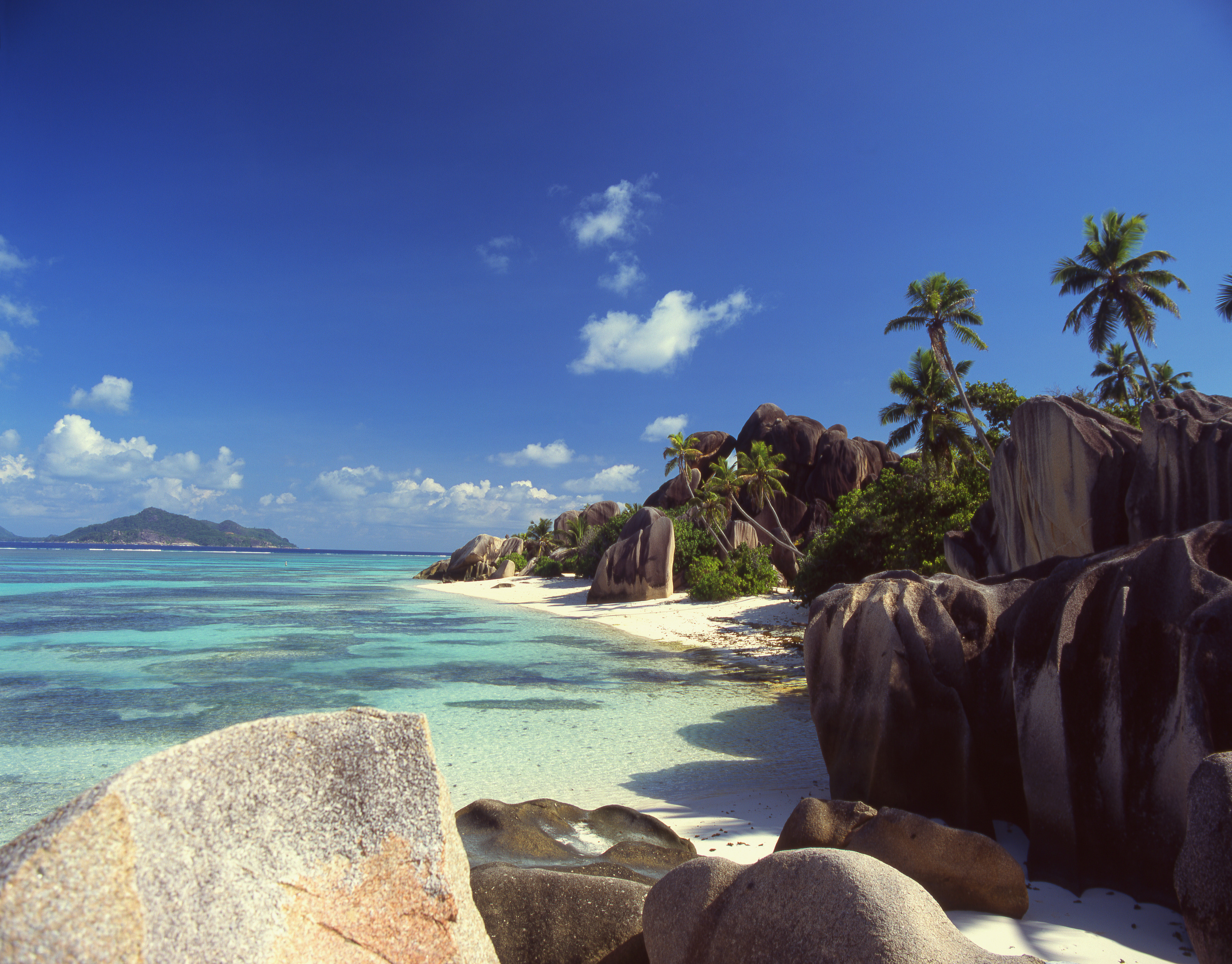 Photo wallpaper Seychelles - palm trees | DD106536 » online | A.S.