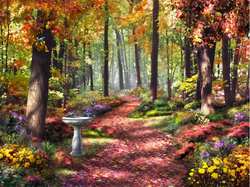 Path-In-The-Forest-Wall-Mural