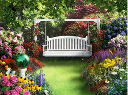 Nature-Sings-To-Me-Wall-Mural