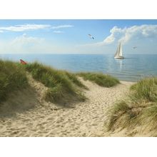 Afternoon Dune Wall Mural