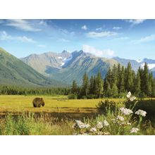 Meadow In The Mountains Wall Mural