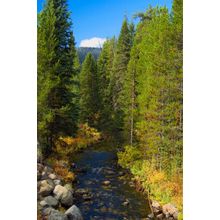 Lake Creek Wall Mural