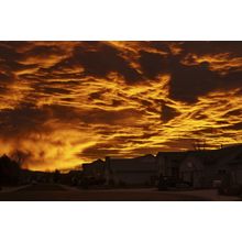 Boise Dawn Wall Mural