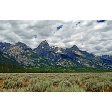 Grand Tetons (Hale) Wall Mural
