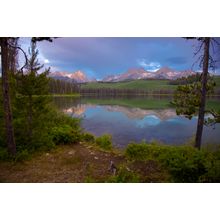 Little Red Fish - Morning Rain Wall Mural