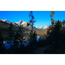 Stanley Lake Trees Wall Mural