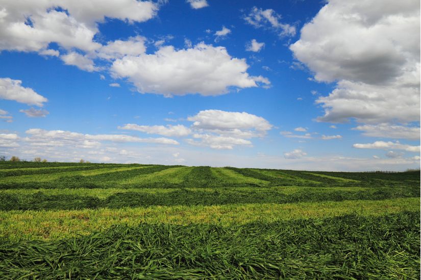 Wendell Farm Landscape Mural Wallpaper Murals Your Way