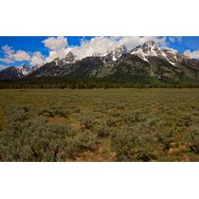 Wyoming Grand Tetons Wall Mural