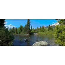 Jenny Lake Wall Mural