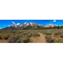 Teton Path Wall Mural