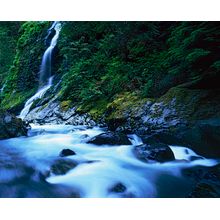 Boulder River Wilderness Wall Mural