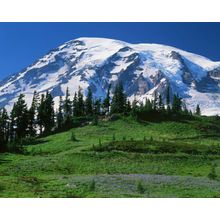Mt. Rainier from Paradise Wall Mural