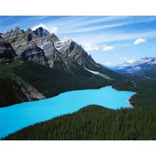 Peyto Lake, Banff National Park Wall Mural