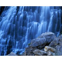 Rustic Falls, Yellowstone National Park Wall Mural