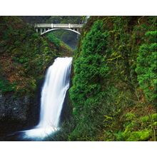 Multnomah Falls Wall Mural