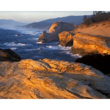 Cape Kiwanda, Sandstone Coast Wall Mural