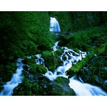Wahkeena Falls Wall Mural