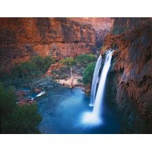 Havasu Falls, Grand Canyon Wall Mural
