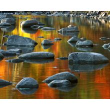 Potomac River Wall Mural