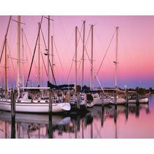 Sailboats At Dusk Wall Mural