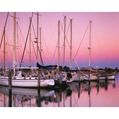 Sailboats At Dusk Wall Mural
