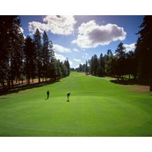 Golf at Indian Canyon Wall Mural