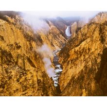 Yellowstone Falls, Yellowstone Nat. Park, Wyoming Wall Mural