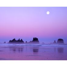 Full Moon Above Seastacks Wall Mural