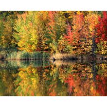 Green Mountain Pond Wall Mural