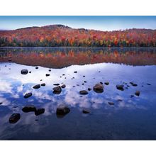 Heart Lake, Adirondack Park Wall Mural