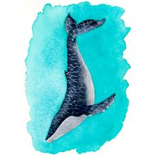 Diving Humpback Wall Mural