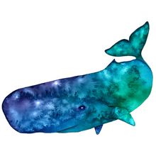 Sperm Whale Wall Mural