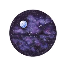 Scorpio Wall Mural