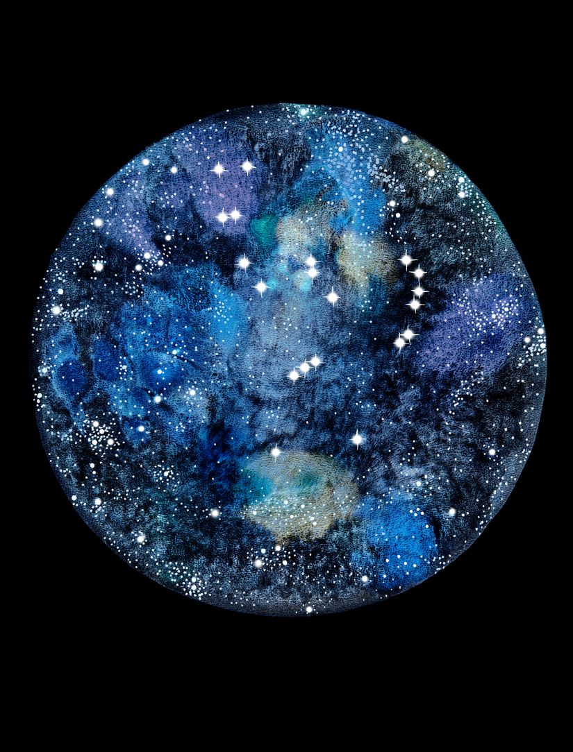 Orion Constellation Mural Murals Your Way