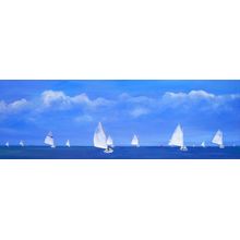 Catboat Race Wall Mural