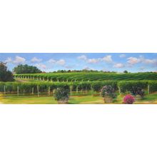 Vineyard View Wall Mural