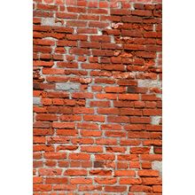 Brick Wall Mural