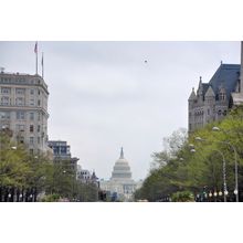 United States Capitol Building Wall Mural
