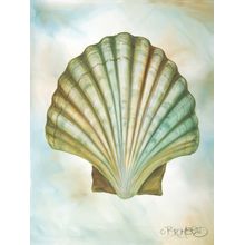 Scallop Wall Mural