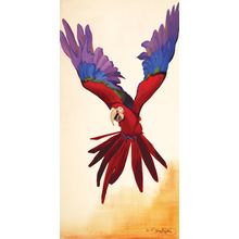 Parrot Wall Mural